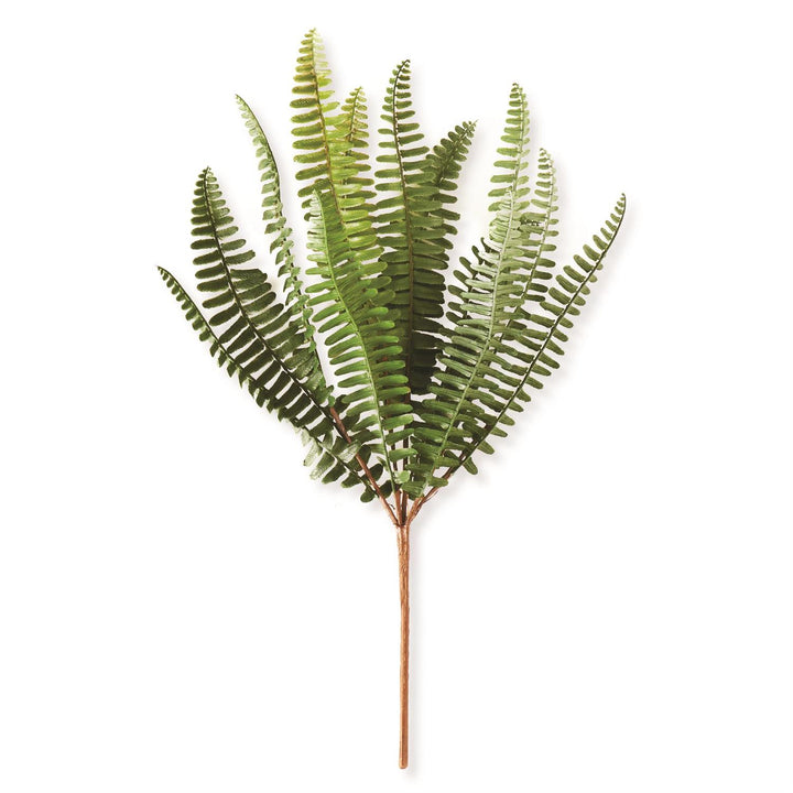 Artificial fern plant on a white background