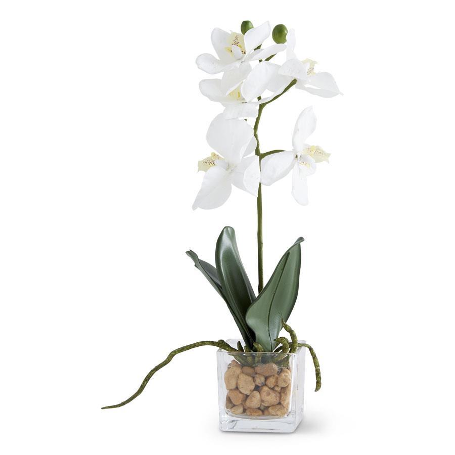 White orchid in a clear vase with pebbles on a white background