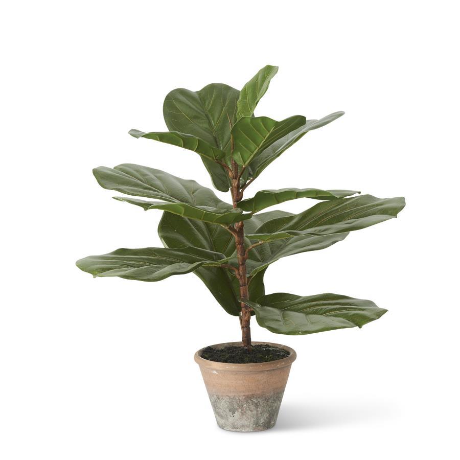 faux fiddle leaf fig tree in pot FIDDLE LEAF FIG TREE IN DISTRESSED CLAY POT – Walker Boutique