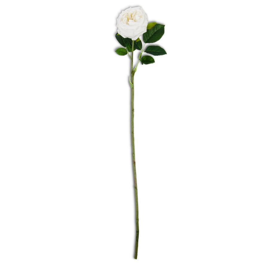 WHITE REAL TOUCH AUSTIN ROSE STEM