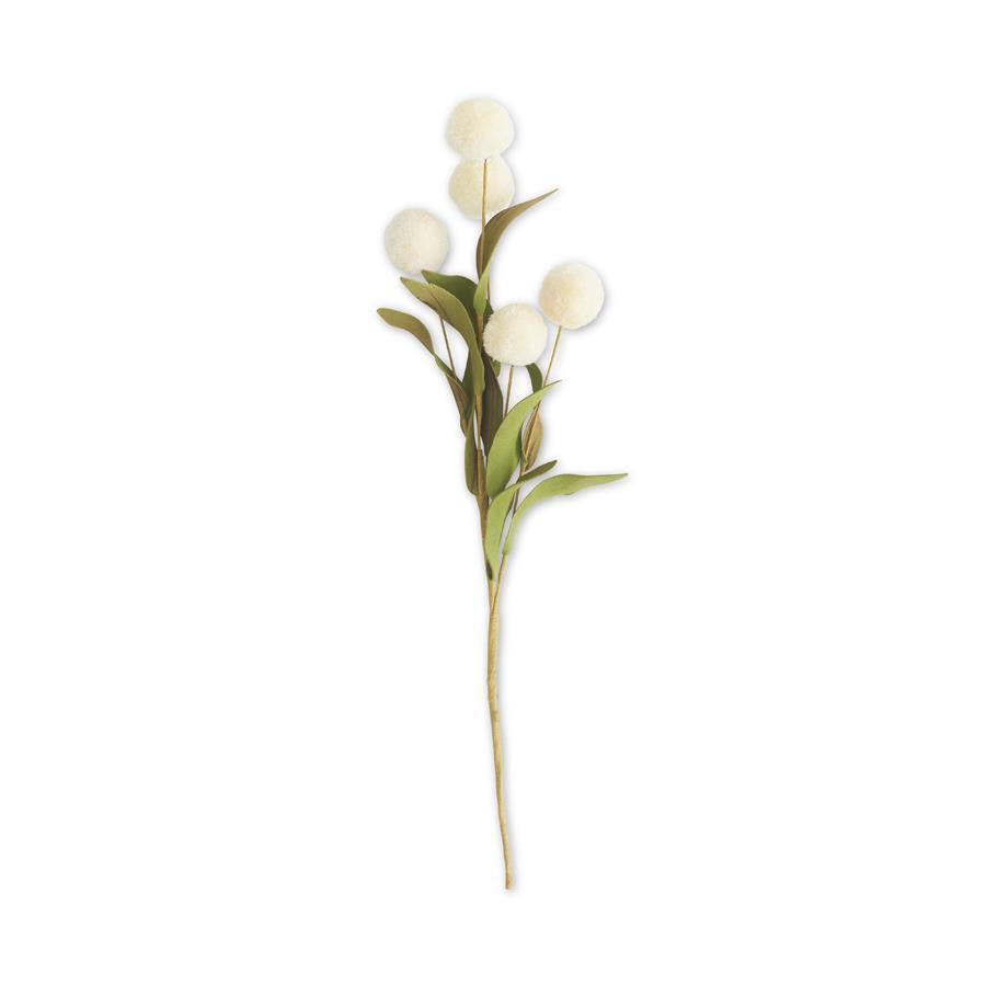 13" CREAM 5 BALL POMPOM PICK SET