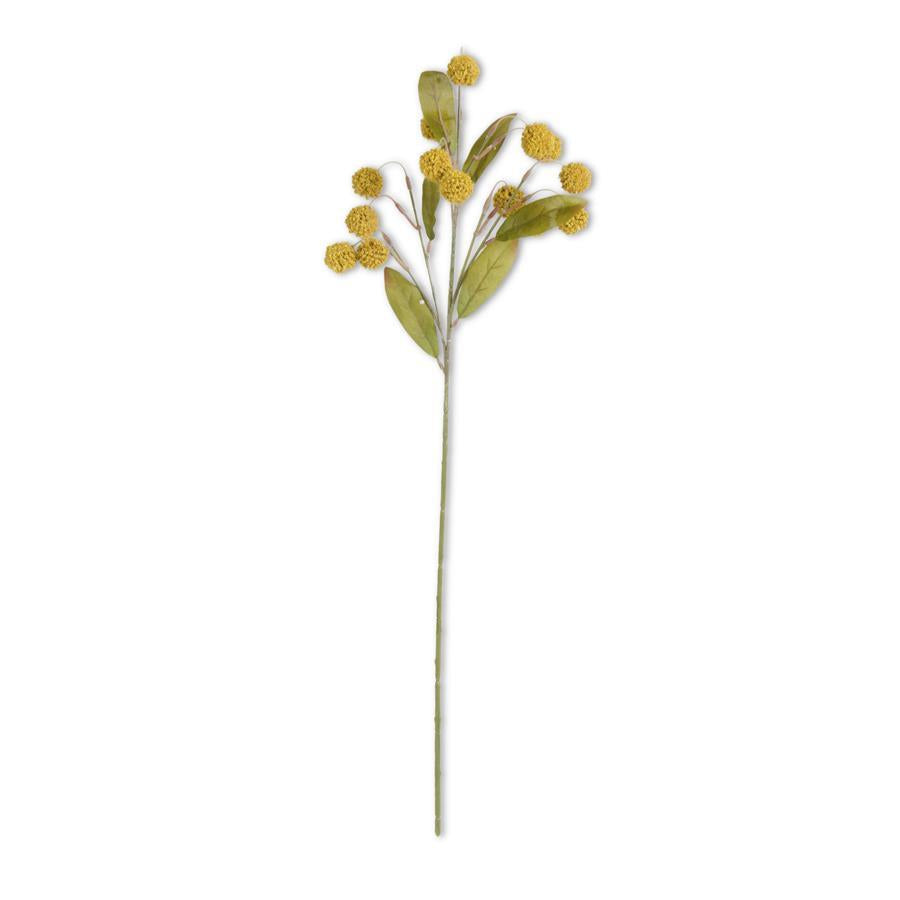 30" YELLOW BILLY BUTTON SPRAY