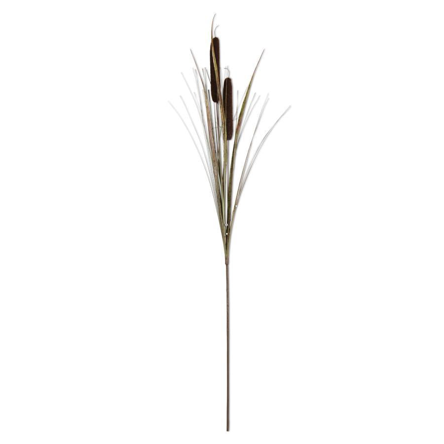 43" DARK BROWN DOUBLE CATTAIL STEM