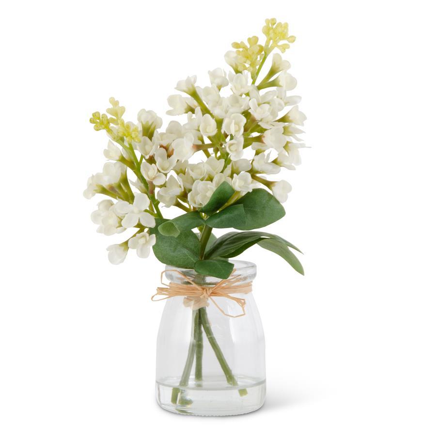 WHITE LILAC IN VASE