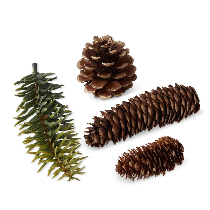 gold tipped pinecones and pinesprings
