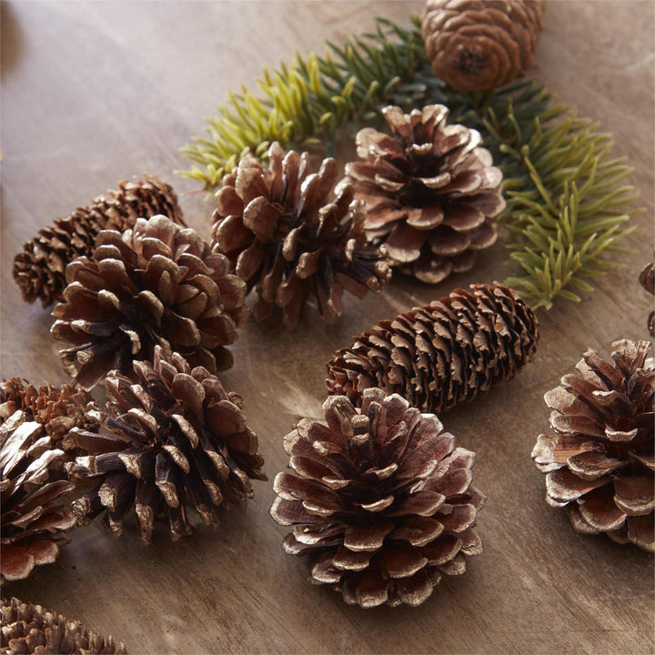 gold tipped pinecones and pinesprings