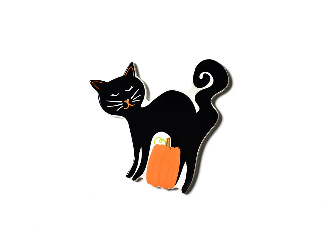 Black cat with a pumpkin on a white background