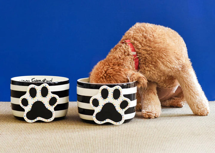 Dog interacting with a black and white paw print bowl on a blue background