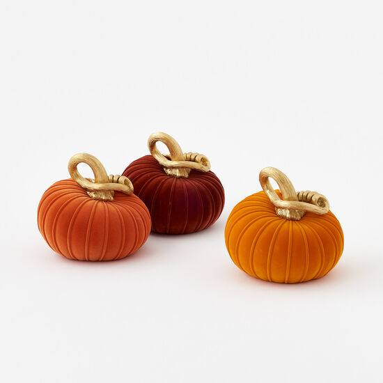 CURLY STEM FLOCKED PUMPKIN