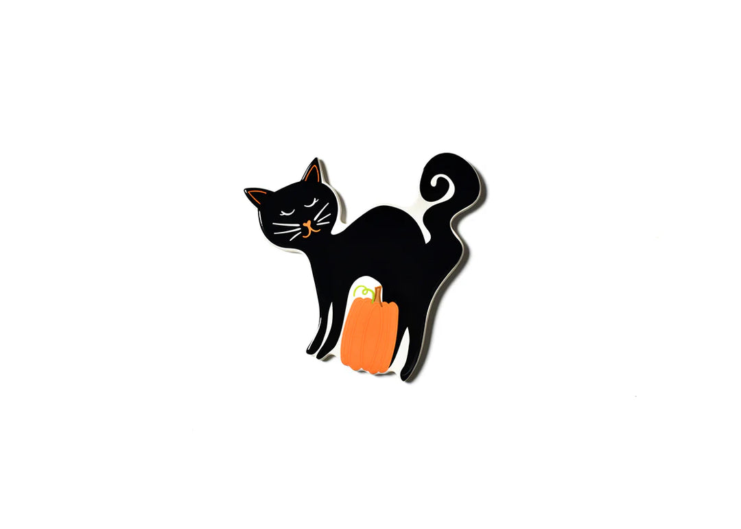 Black cat with a pumpkin on a white background