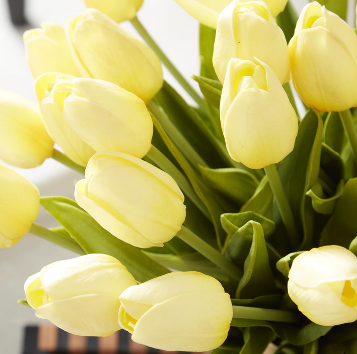LIGHT YELOW REAL TOUCH MINI TULIP BUNDLE