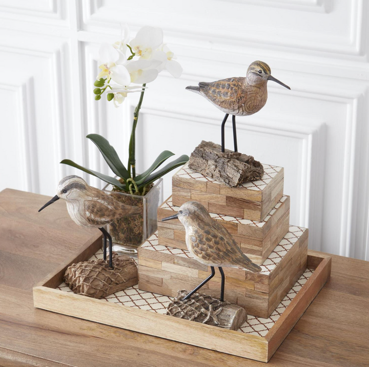 WHITE ORCHID IN SQUARE GLASS CONTAINER