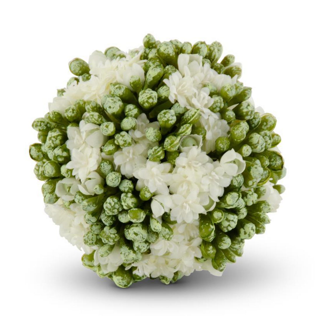 WHITE KALANCHOE BALL