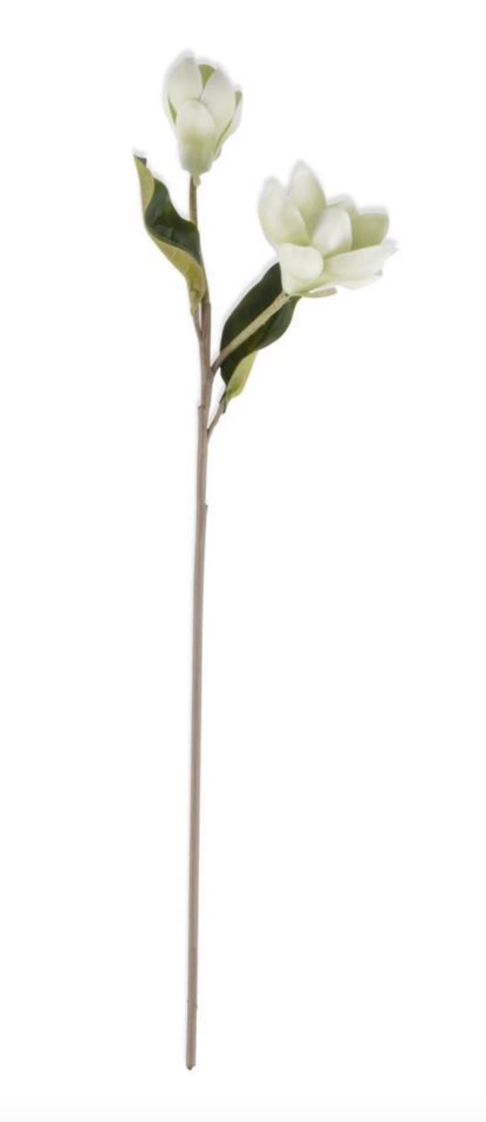 25" WHITE REAL TOUCH MAGNOLIA STEM