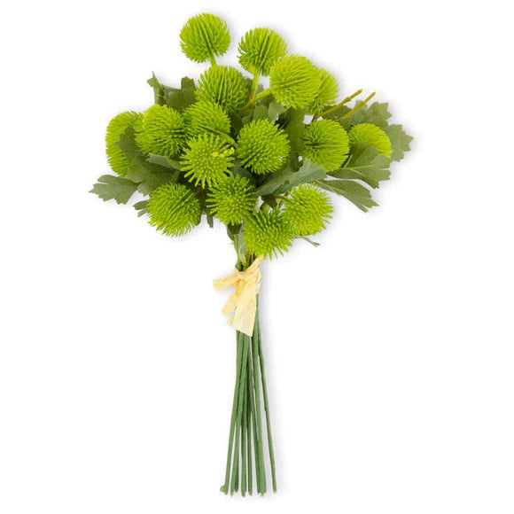 13" GREEN SYCAMORE FRUIT BALL BUNDLE