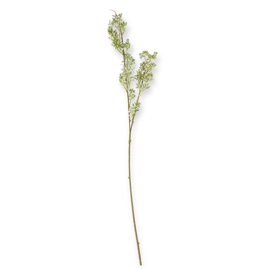 31" POWDERED GREEN BUD STEM