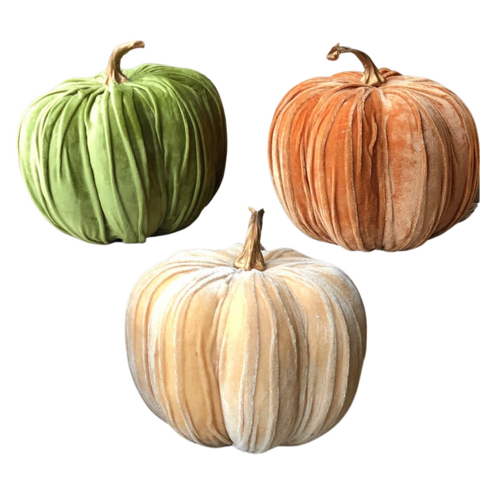 VELVET PUMPKINS
