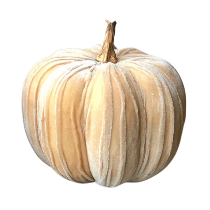CREAM VELVET PUMPKIN
