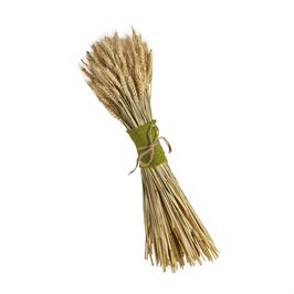 DRIED WHEAT BUNDLE
