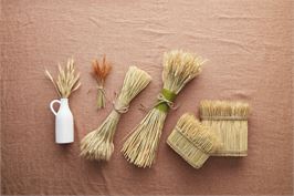 DRIED WHEAT BUNDLE