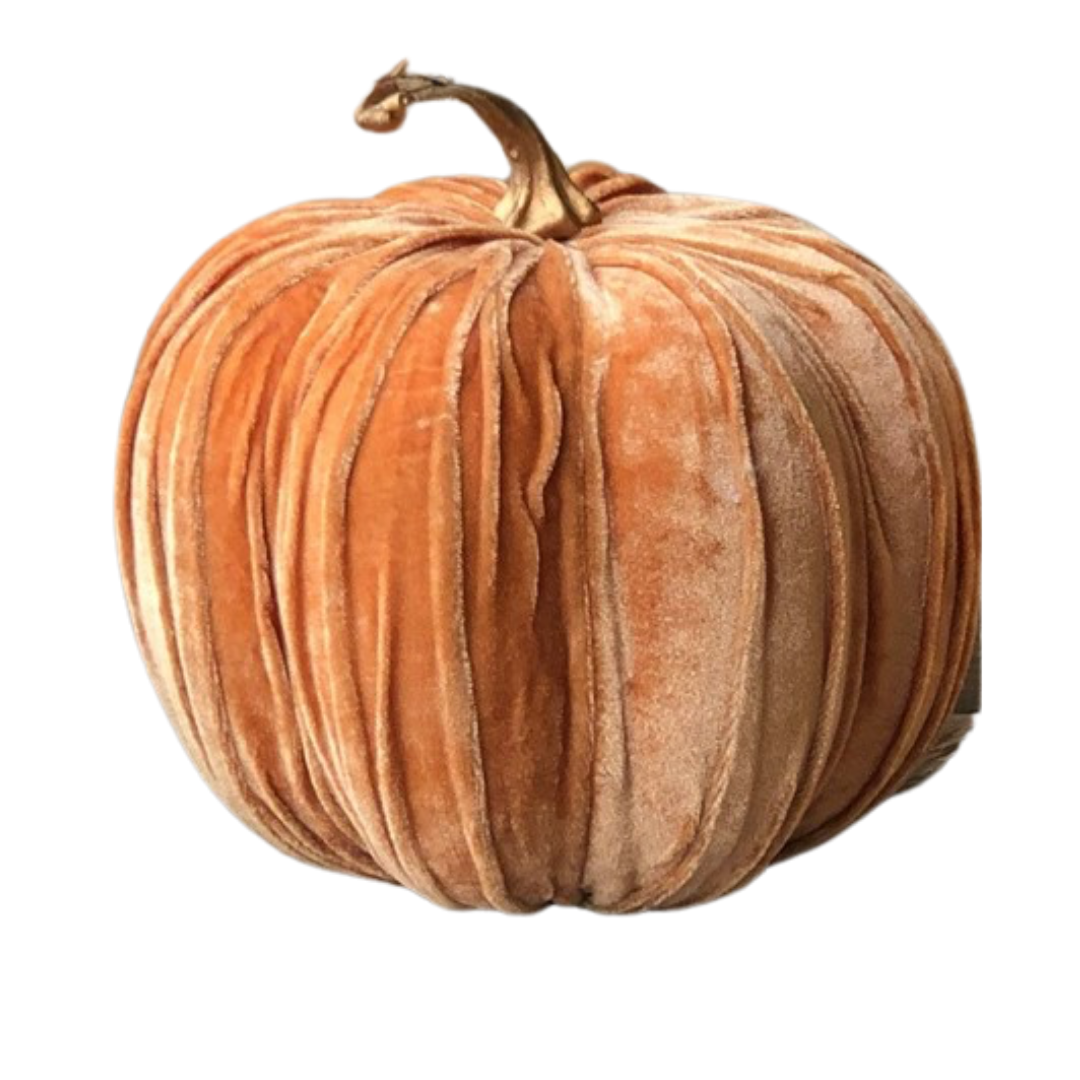 ORANGE VELVET PUMPKIN