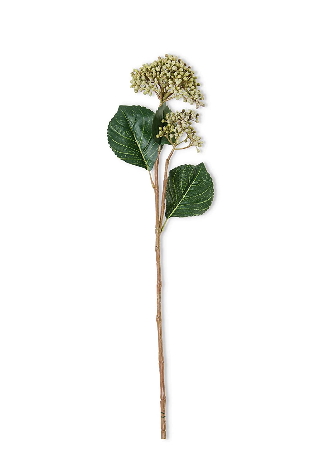 23" GREEN HYDRANGEA BUDS STEM