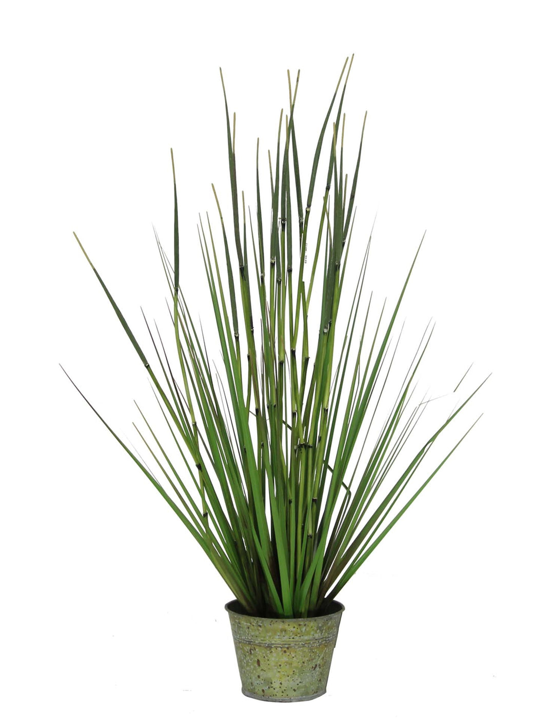 FAUX ONION GRASS W/POT