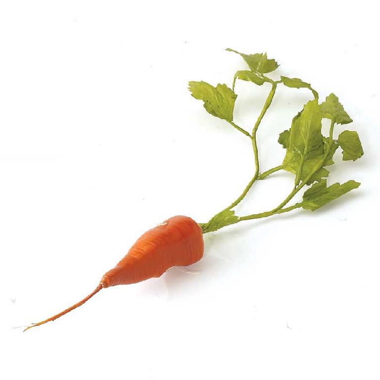 ORANGE SHORT CARROT