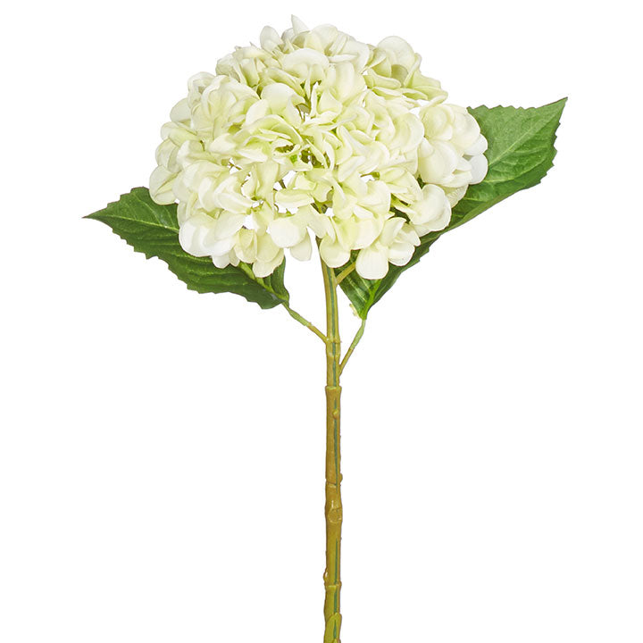 REAL TOUCH HYDRANGEA STEM