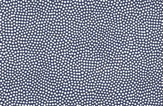 NAVY SPOTS PLACEMATS