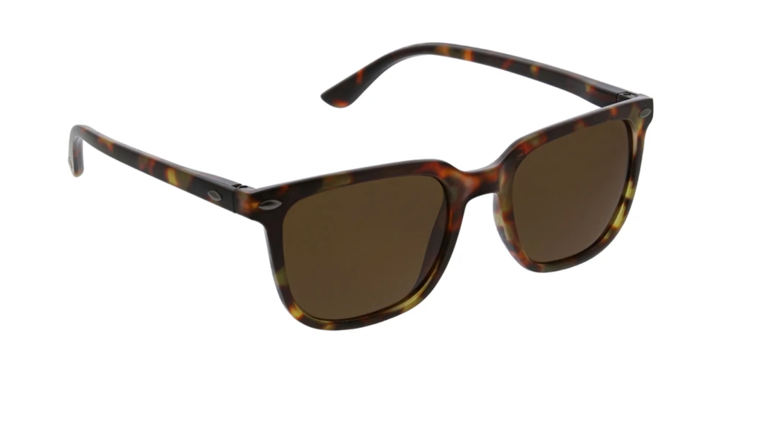 CRUZ READING SUNGLASSES