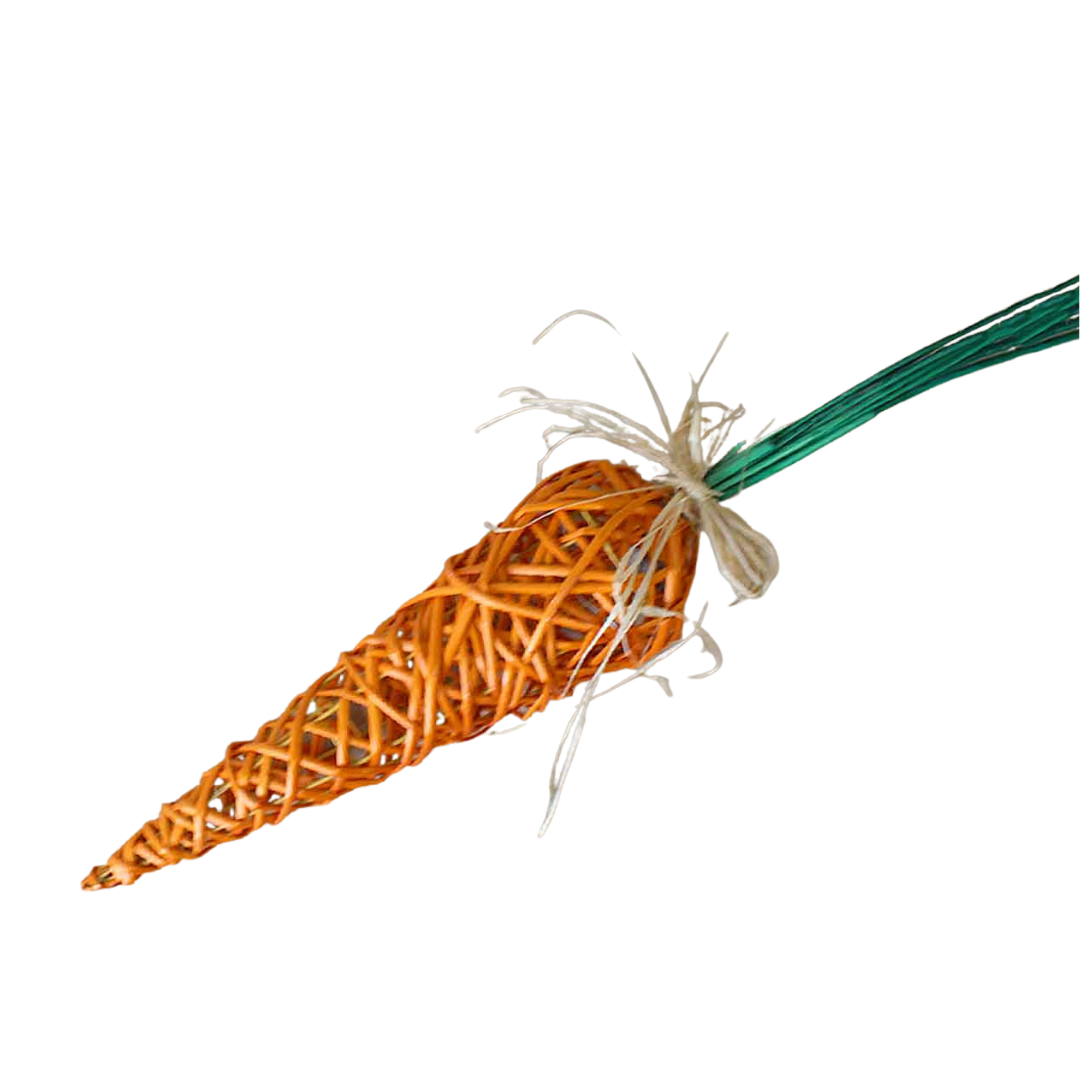 ORANGE WILLOW CARROT