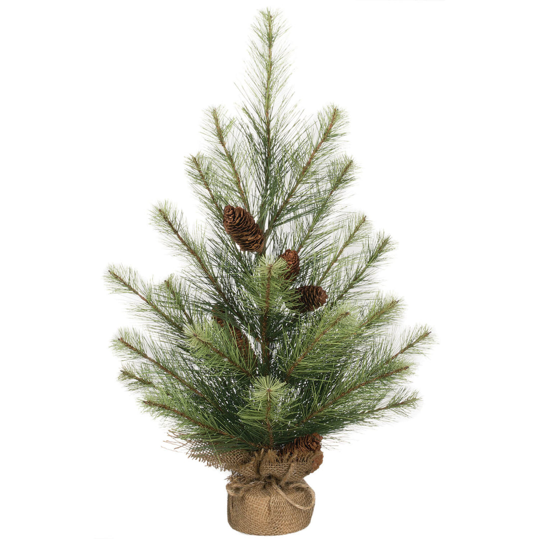 BLACK HILLS PINE TREE