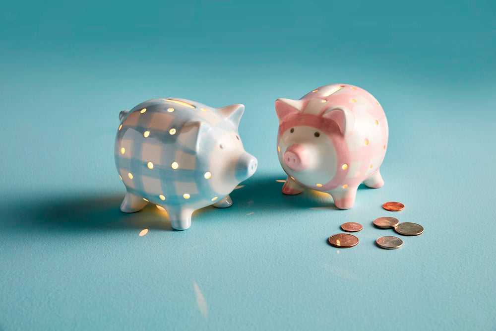pink and blue gingham piggy banks lit up