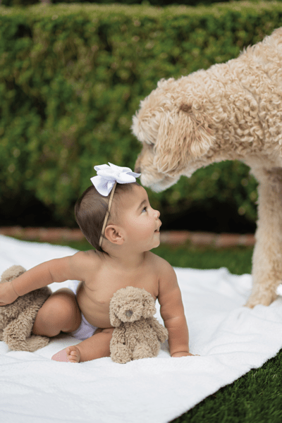 CHILD AND DOG SITTING ON WHITE BLANKET WITH DOODLE RATTLE