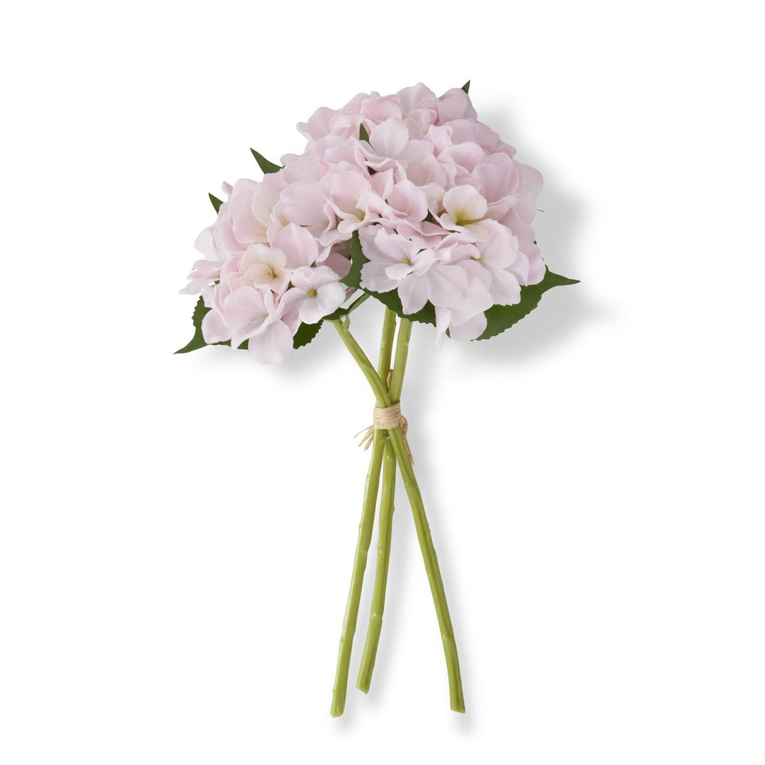 Bouquet of pink flowers tied with a string on a white background