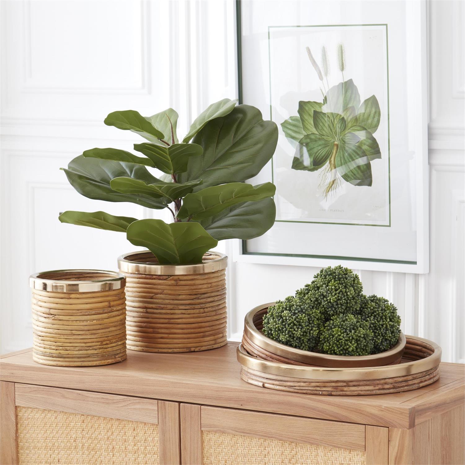wicker basket for fiddle leaf fig FIDDLE LEAF FIG TREE IN DISTRESSED CLAY POT – Walker Boutique