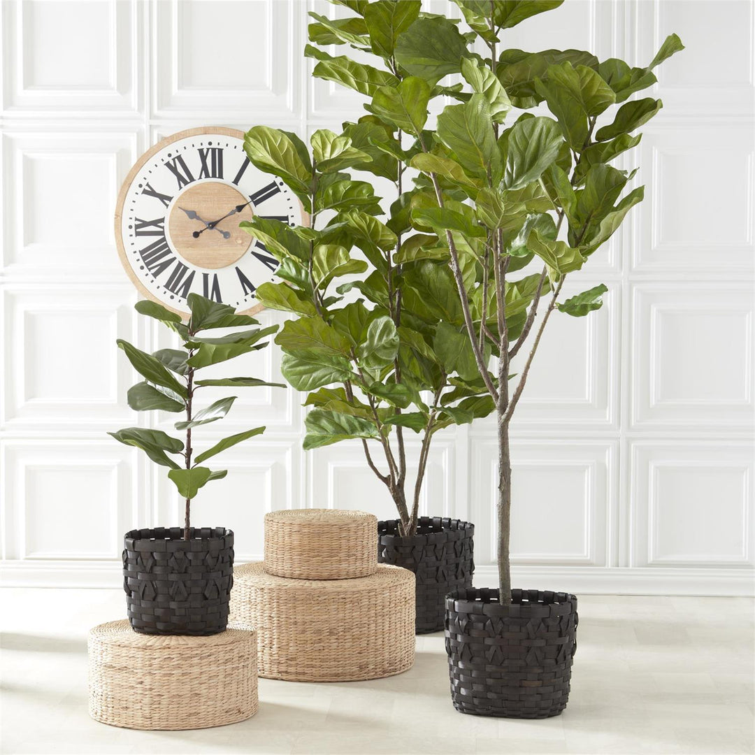 basket fiddle leaf fig FIDDLE LEAF FIG TREE IN DISTRESSED CLAY POT – Walker Boutique