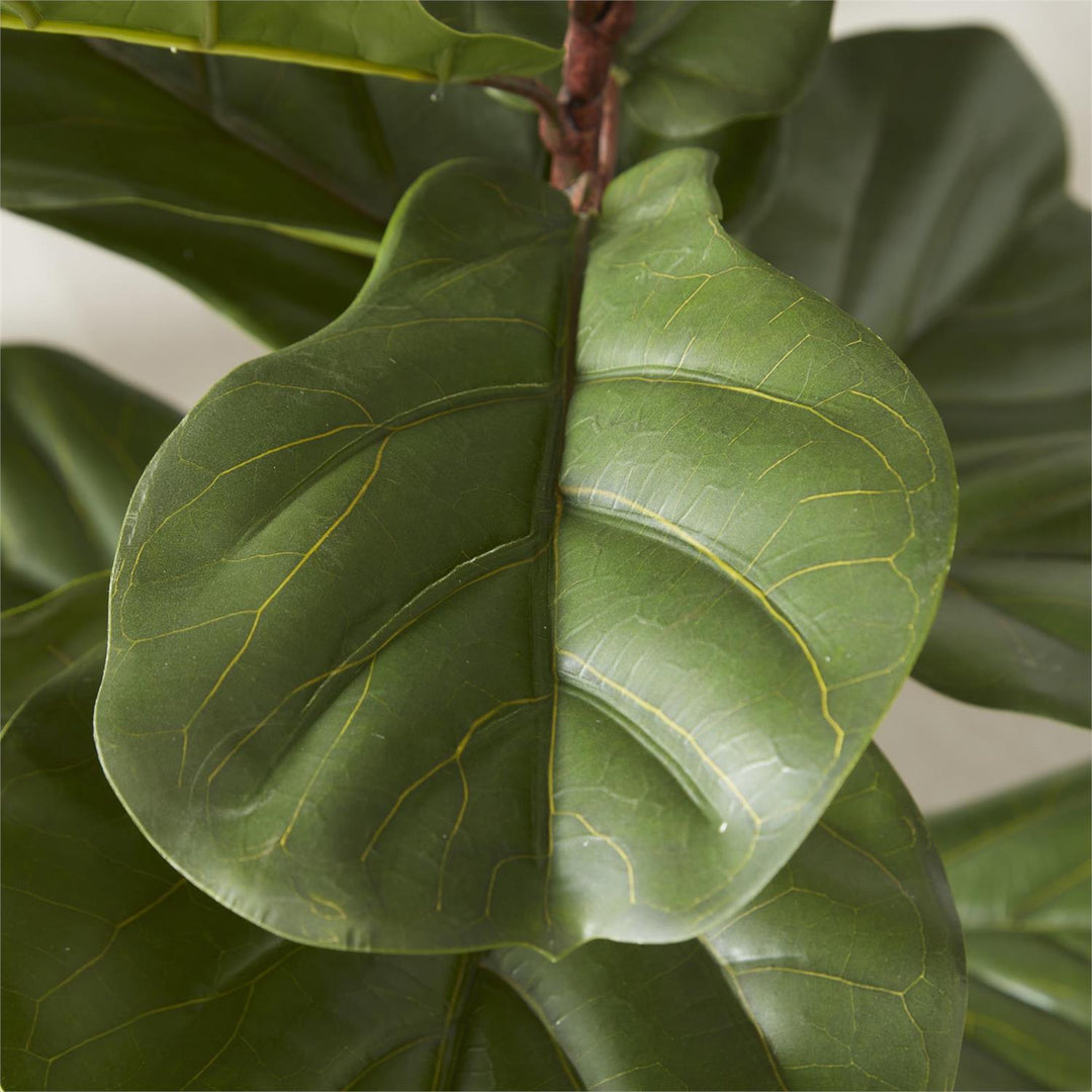 fiddle leaf fig shop FIDDLE LEAF FIG TREE IN DISTRESSED CLAY POT – Walker Boutique