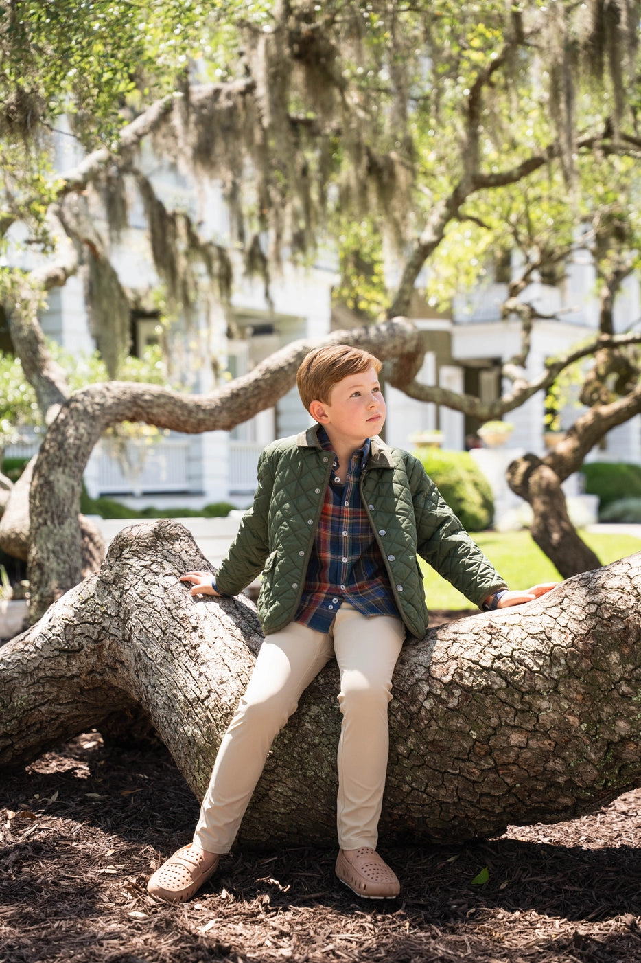 Little boys sitting on tree wearing Green Derby Quilted Jacket