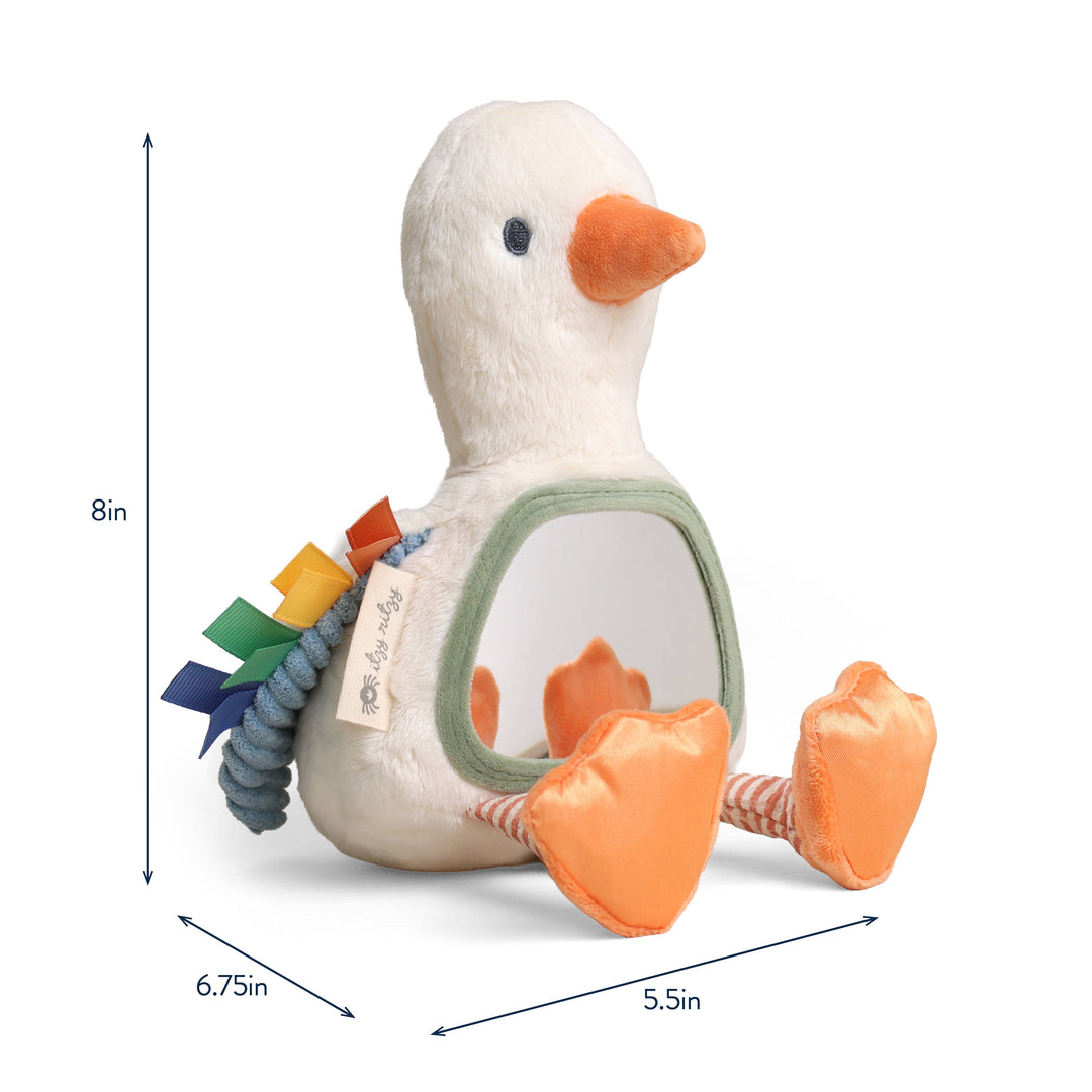 GOOSE SENSORY TUMMY TIME MIRROR