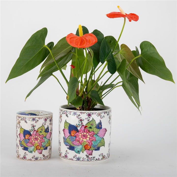 TOBACCO LEAF LIDDED CANDLE WITH BOX