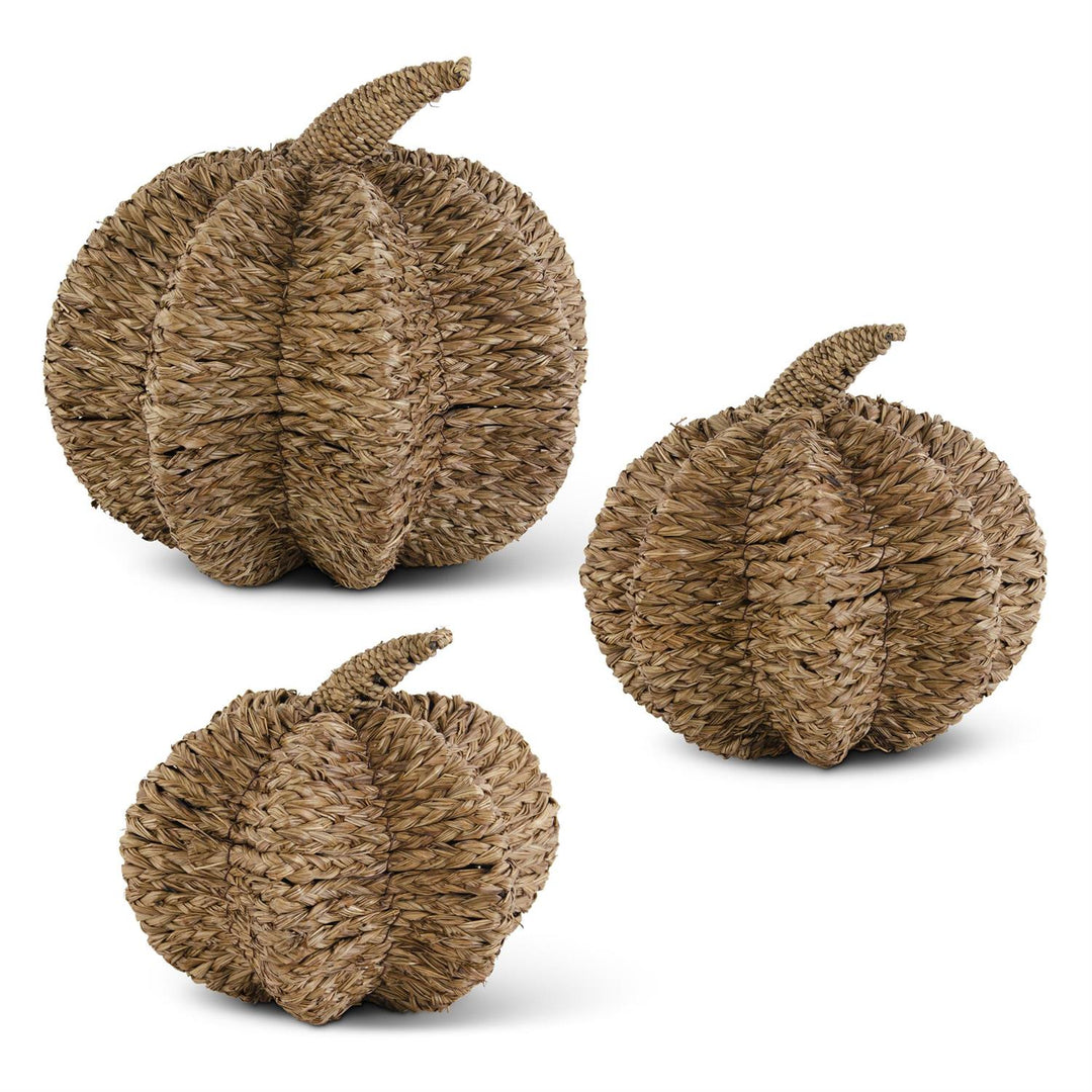 Three textured brown pumpkins on a white background