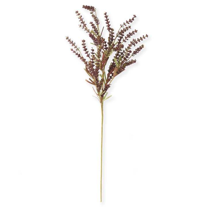A single artificial-looking plant stem with small clustered dark reddish-brown flowers and a long pale stem, photographed on a plain white background.