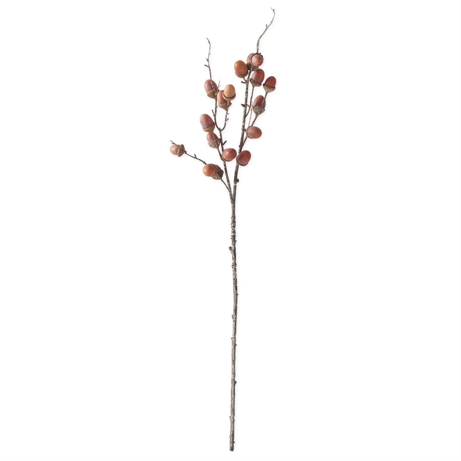 BOTANICALS – Walker Boutique