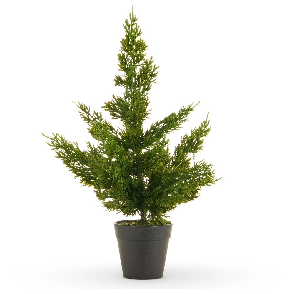 17" POTTED CEDAR TREE