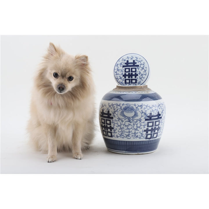 DOUBLE HAPPINESS BLUE & WHITE BULB JAR