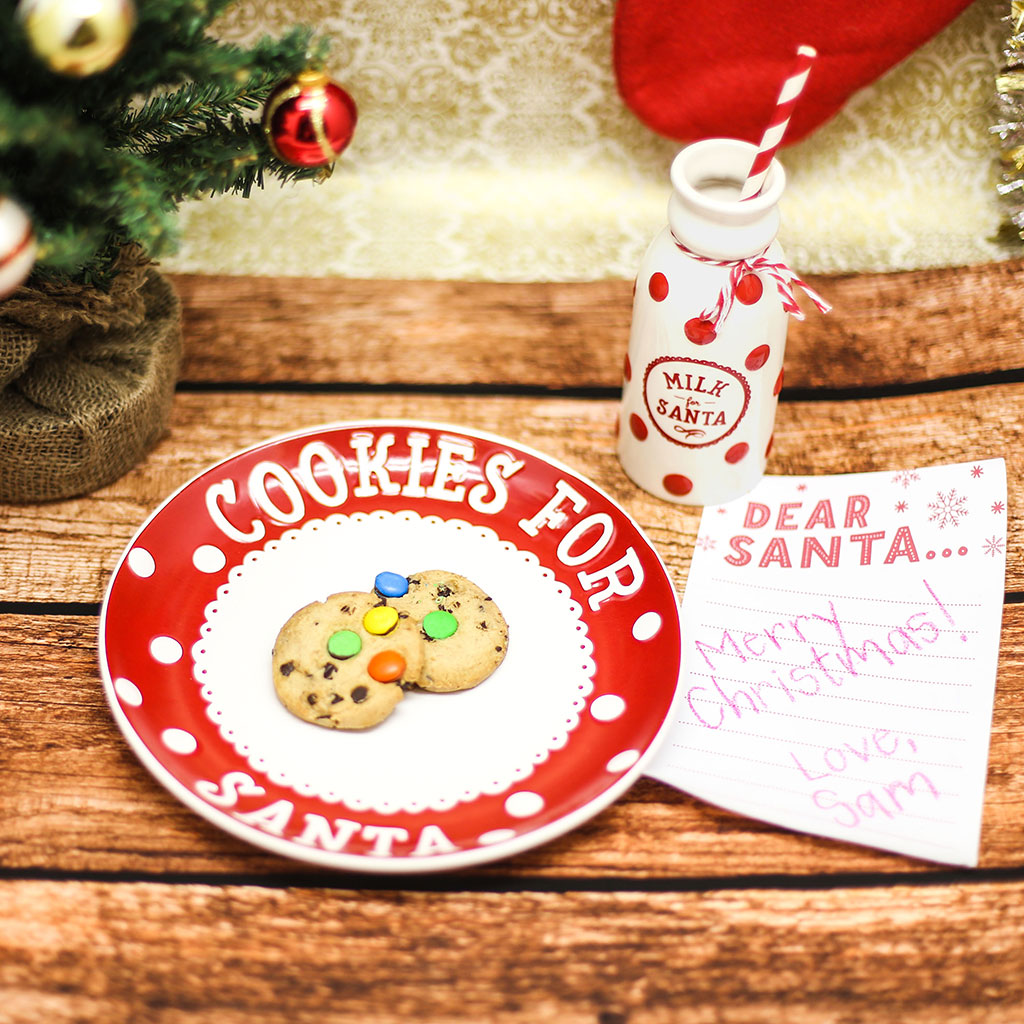 CHRISTMAS SANTA'S MILK & COOKIE SET