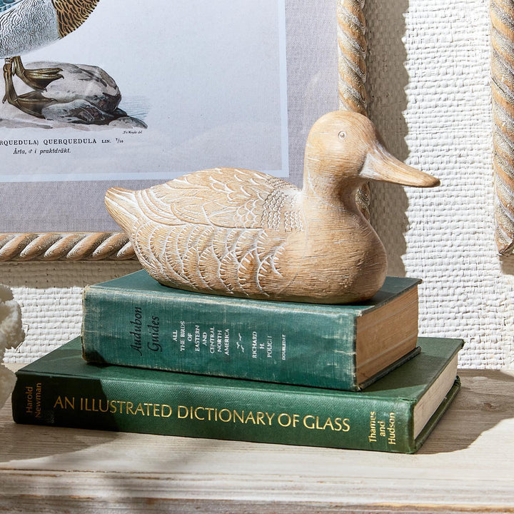 DUCK DECOR