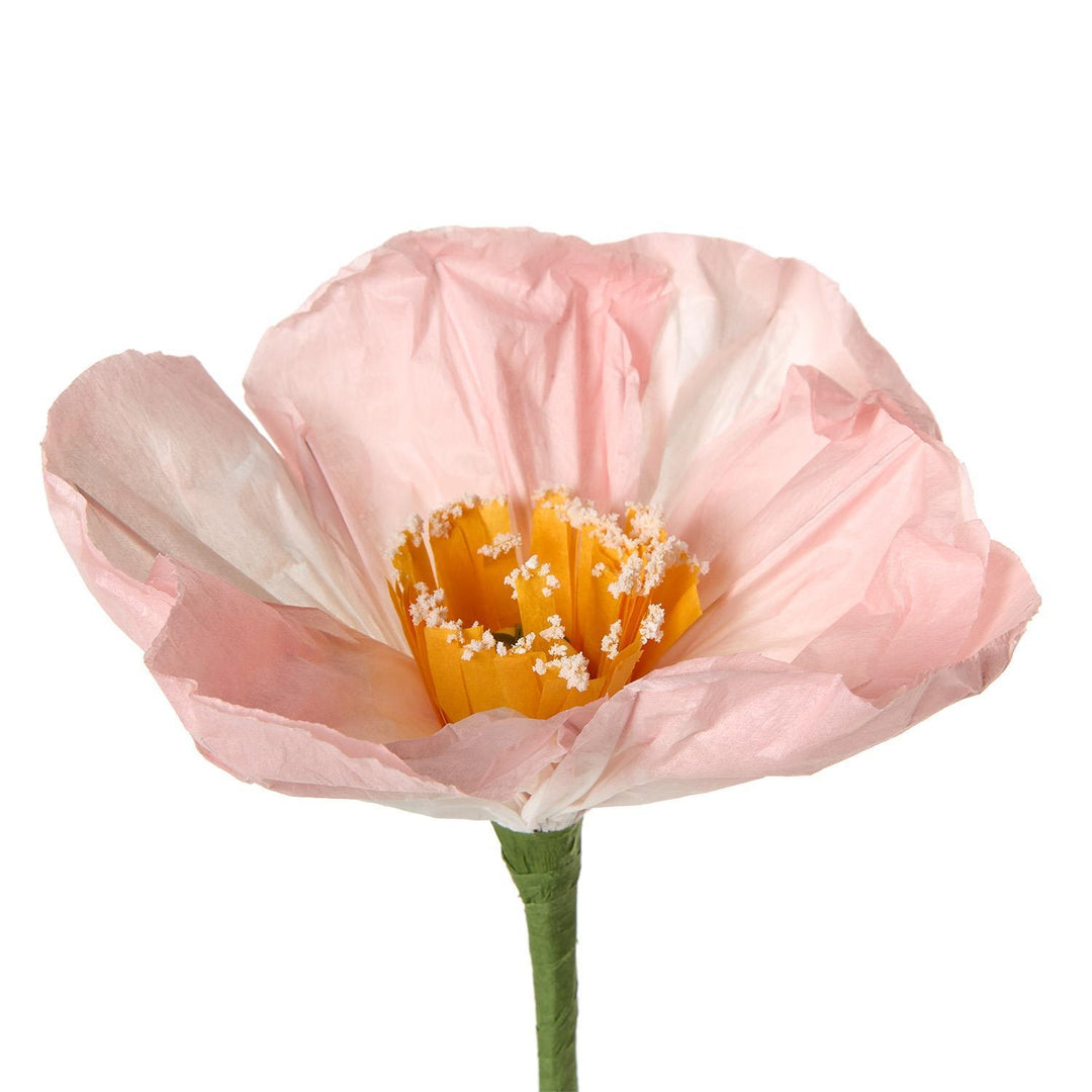 Pink flower with a yellow center on a white background
